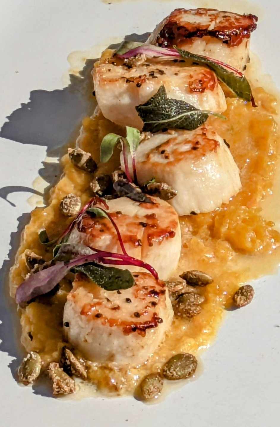 Seared Scallops